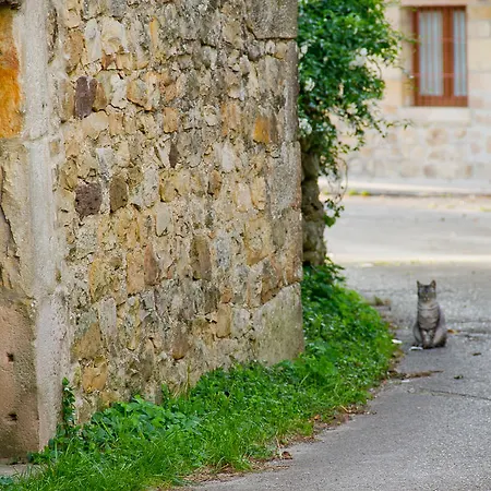 Anjanas De Lloreda (Cantabria)