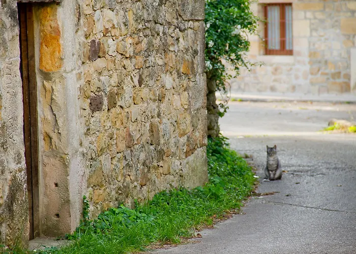 Anjanas De Lloreda (Cantabria)